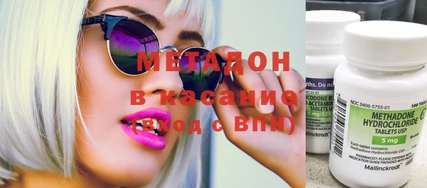 индика Алексин