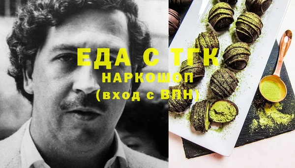индика Алексин