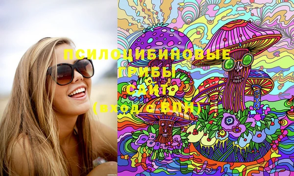 индика Алексин