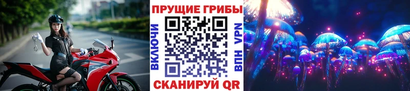 как найти наркотики  Севастополь  hydra зеркало  Псилоцибиновые грибы ЛСД 