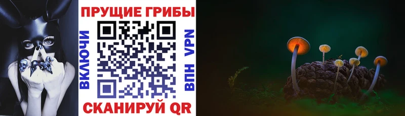 Псилоцибиновые грибы мицелий Севастополь