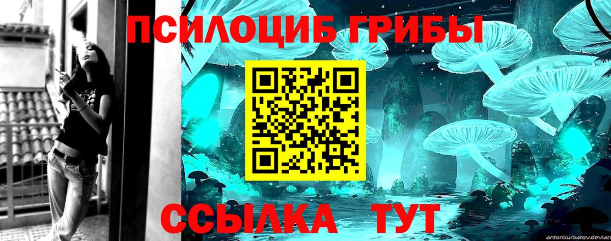 Севастополь  цены   Вход с VPN  Галлюциногенные грибы Psilocybine cubensis  Псилоцибиновые грибы Psilocybe 