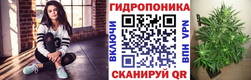 Бошки Шишки семена  Севастополь 